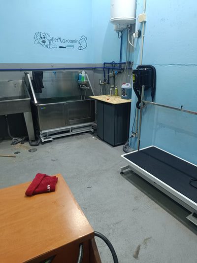 Loja de animais banhos e tosquias e self service
